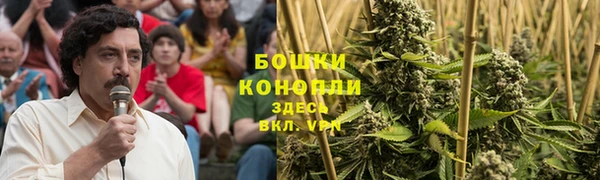 МДПВ Богданович