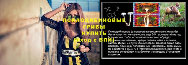 МДПВ Богданович