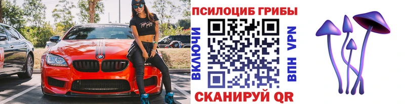 Псилоцибиновые грибы GOLDEN TEACHER  Богородицк 